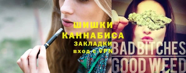 стафф Богородицк